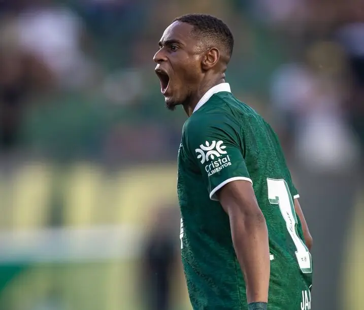 Imagem ilustrativa para a matéria