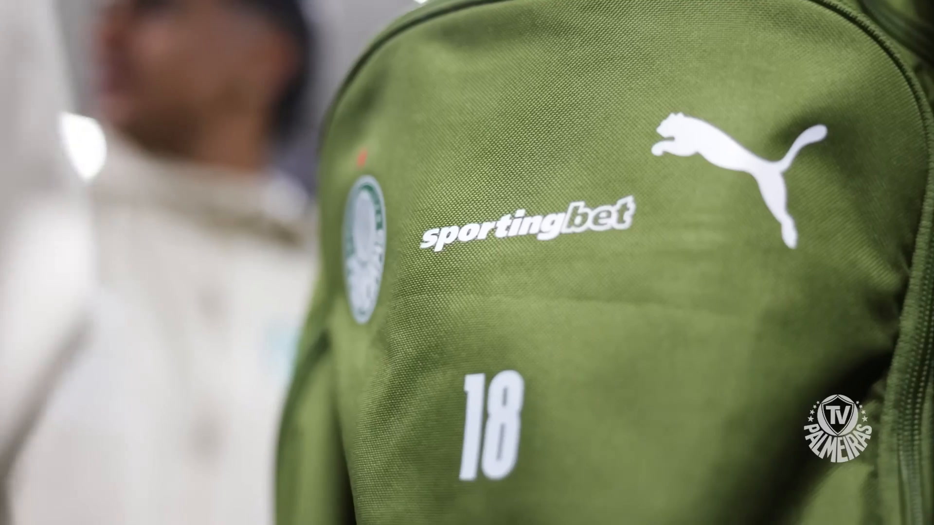 Palmeiras inicia jornada nas oitavas de final da Libertadores no Peru