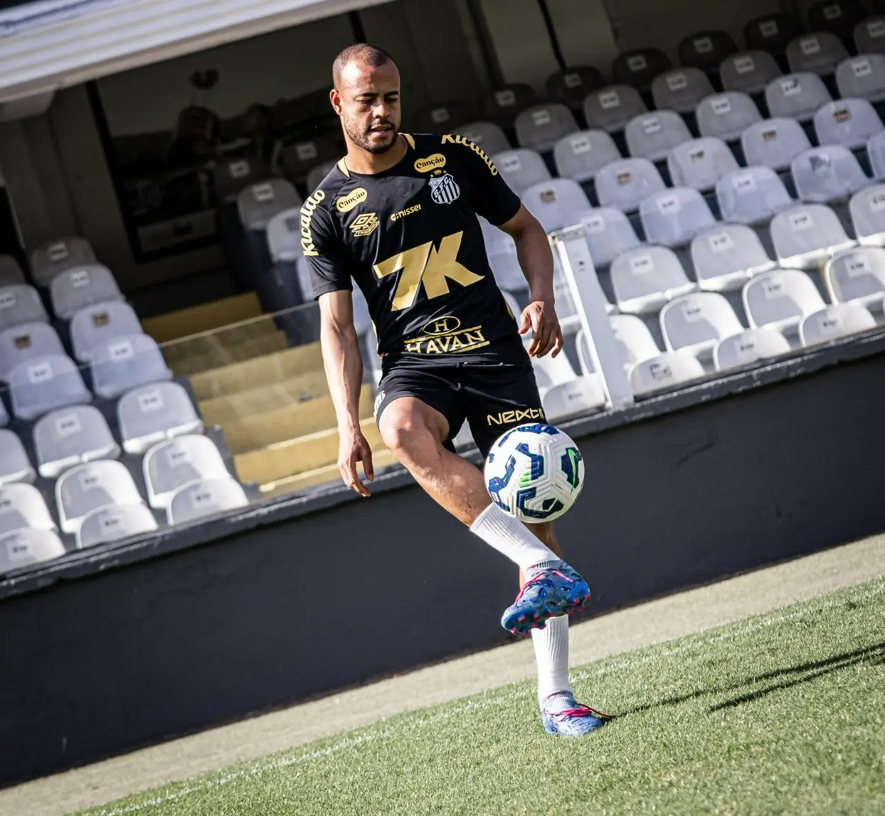 Imagem ilustrativa para a matéria