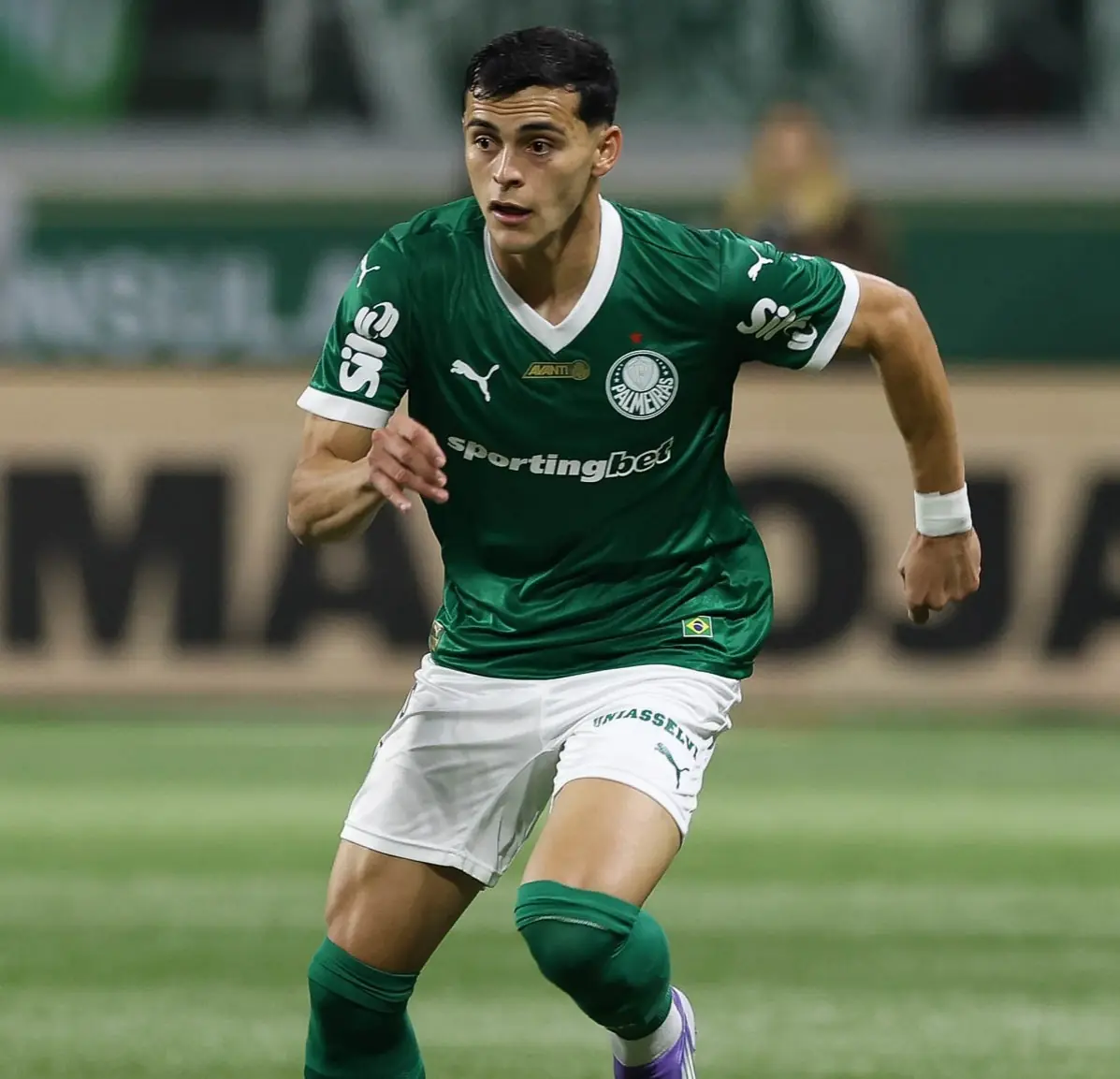 Imagem ilustrativa para a matéria