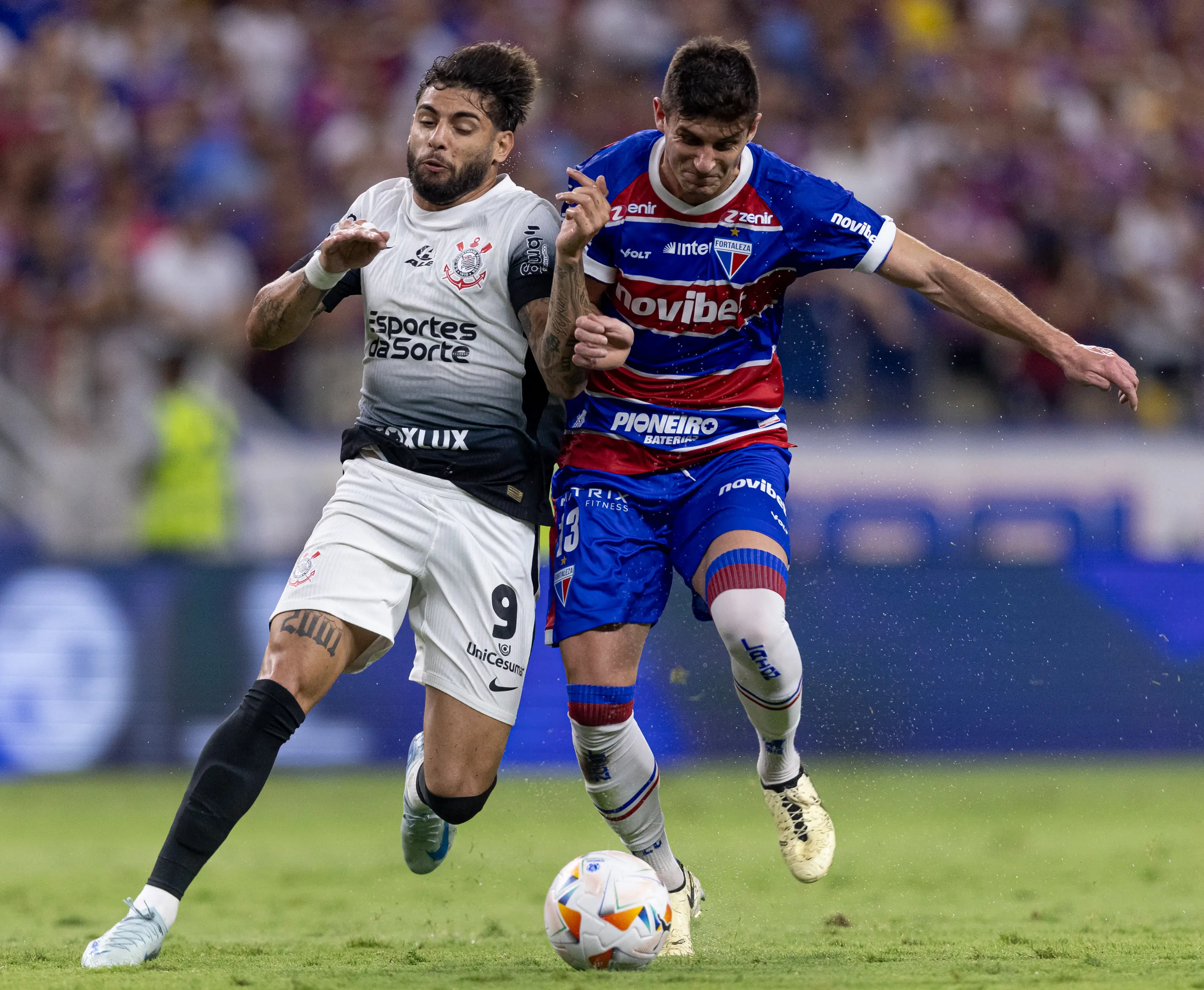 Imagem ilustrativa para a matéria