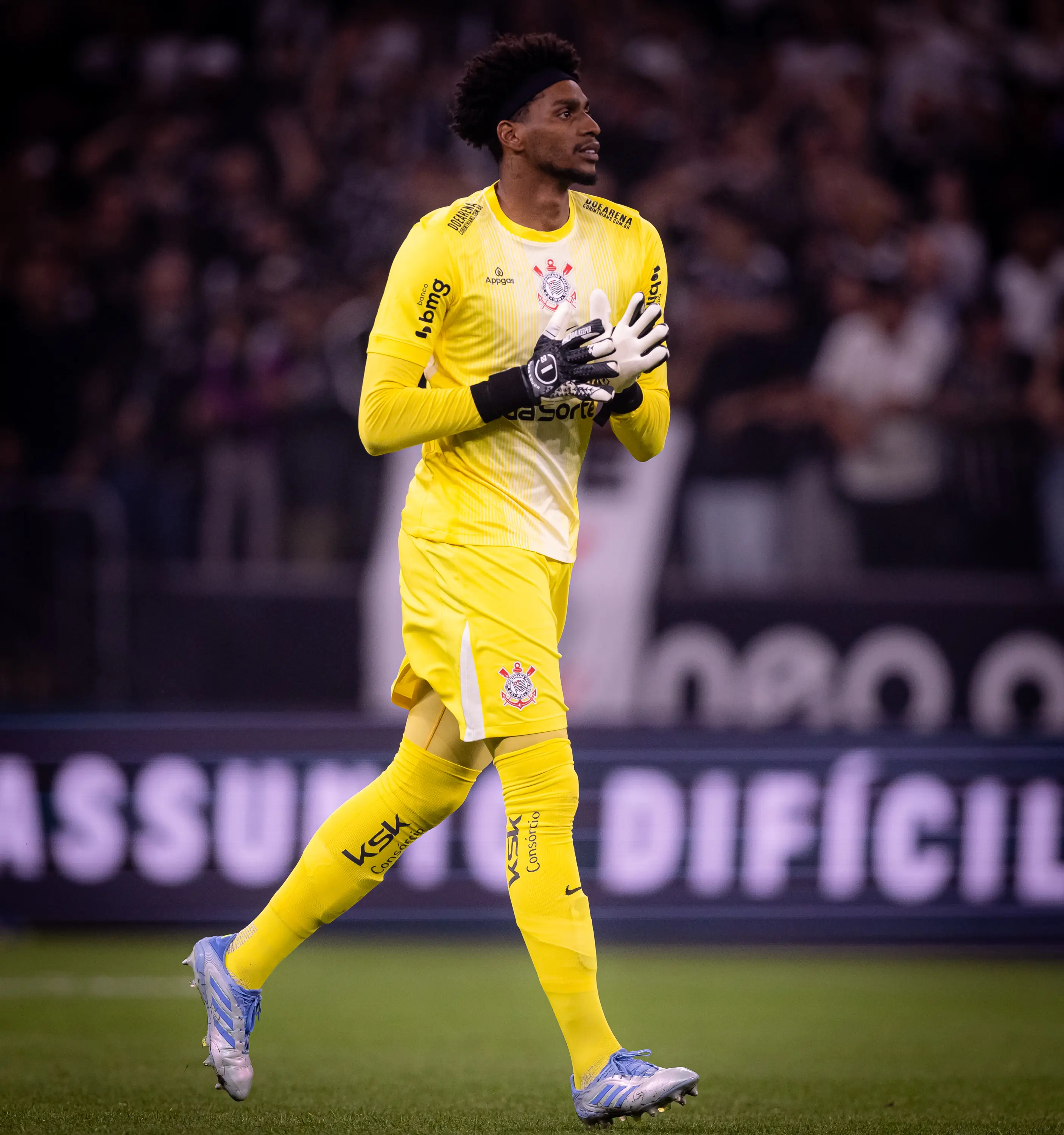 Imagem ilustrativa para a matéria