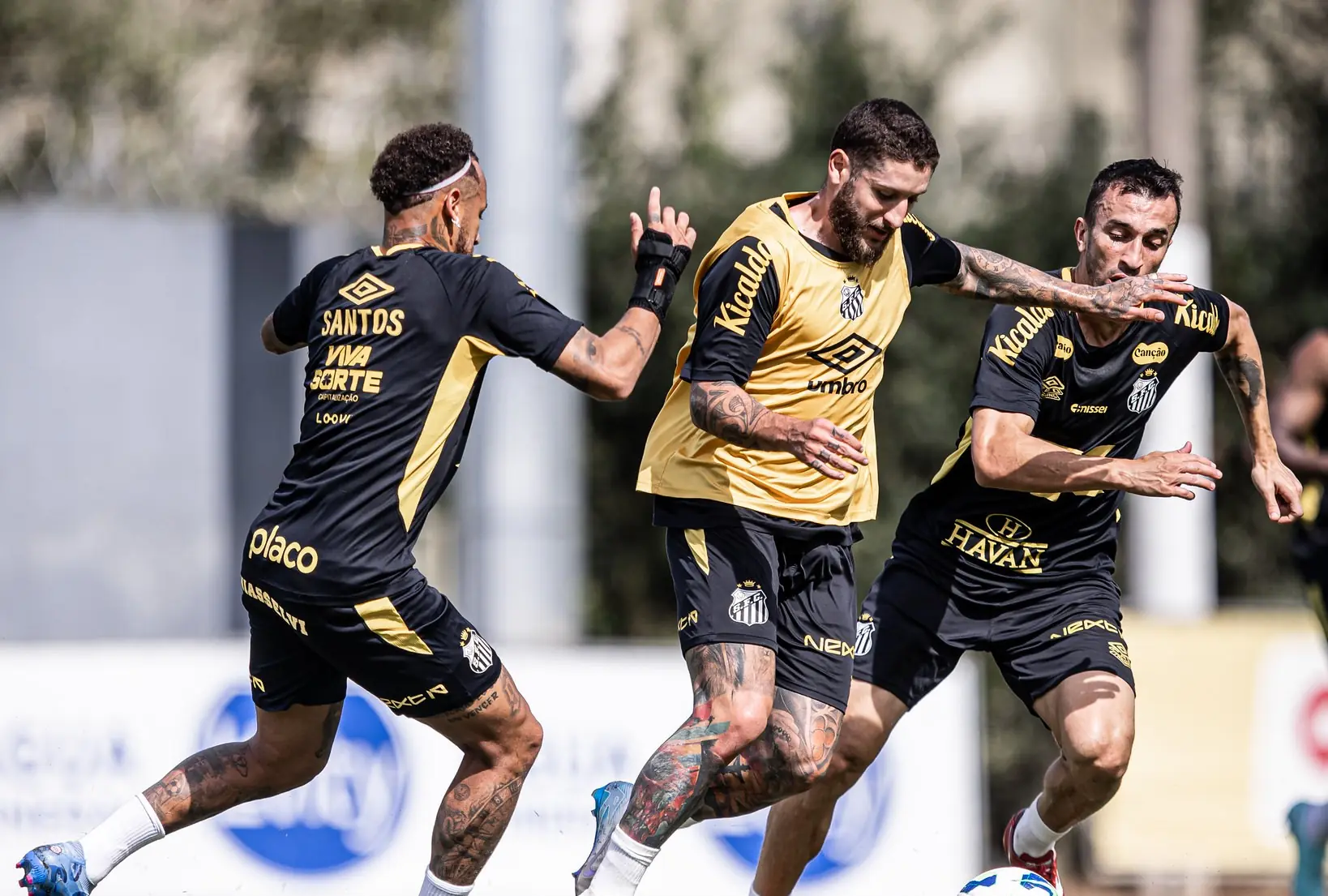 Imagem ilustrativa para a matéria