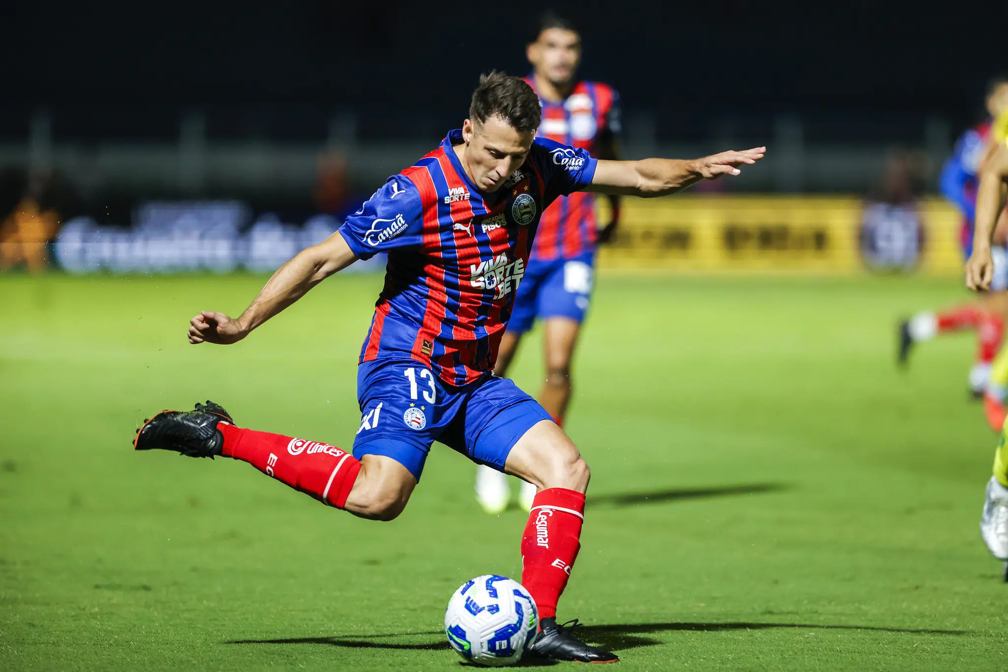 Imagem ilustrativa para a matéria