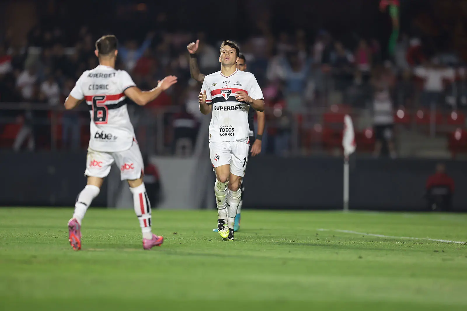 Imagem ilustrativa para a matéria