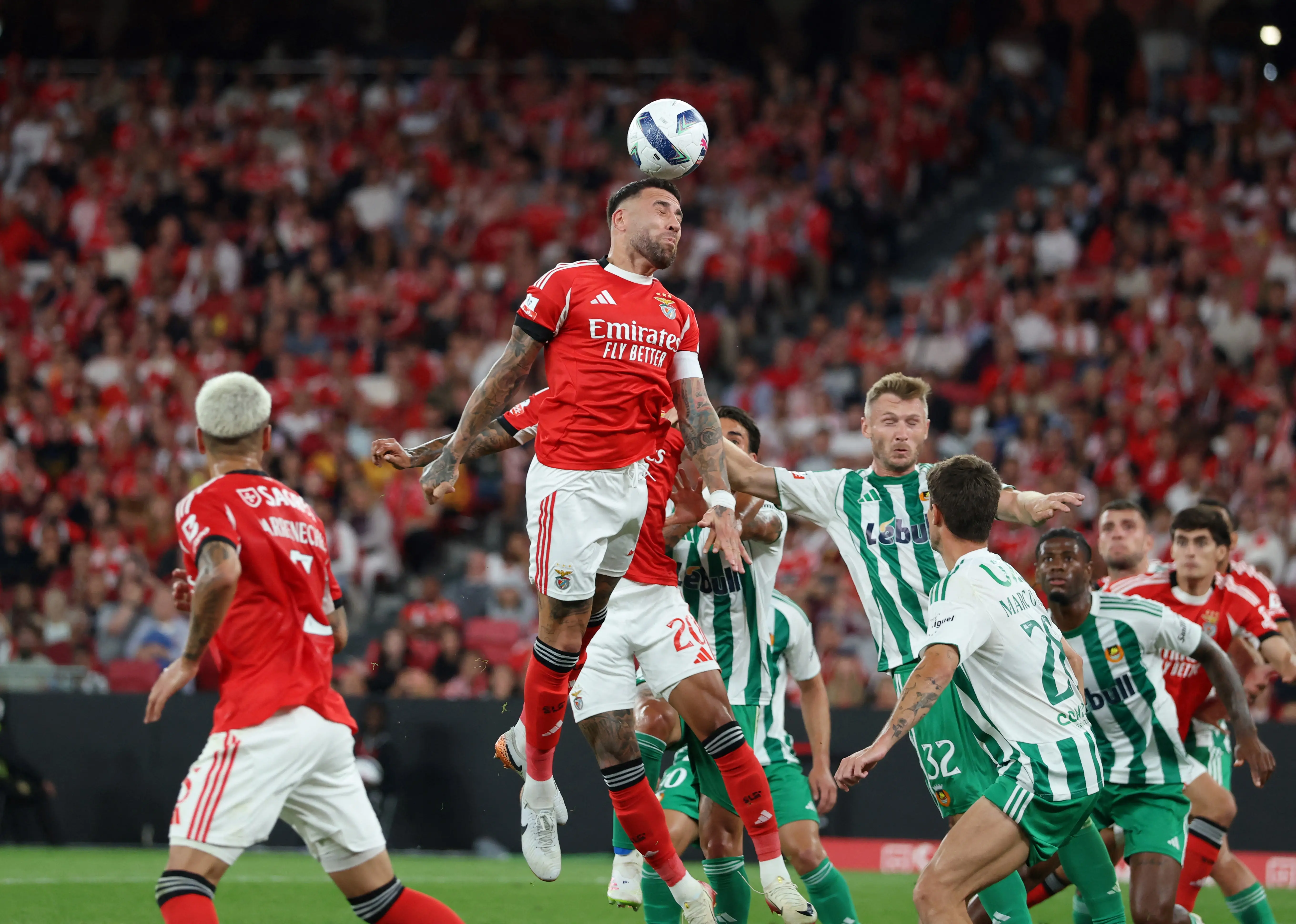 Imagem ilustrativa para a matéria