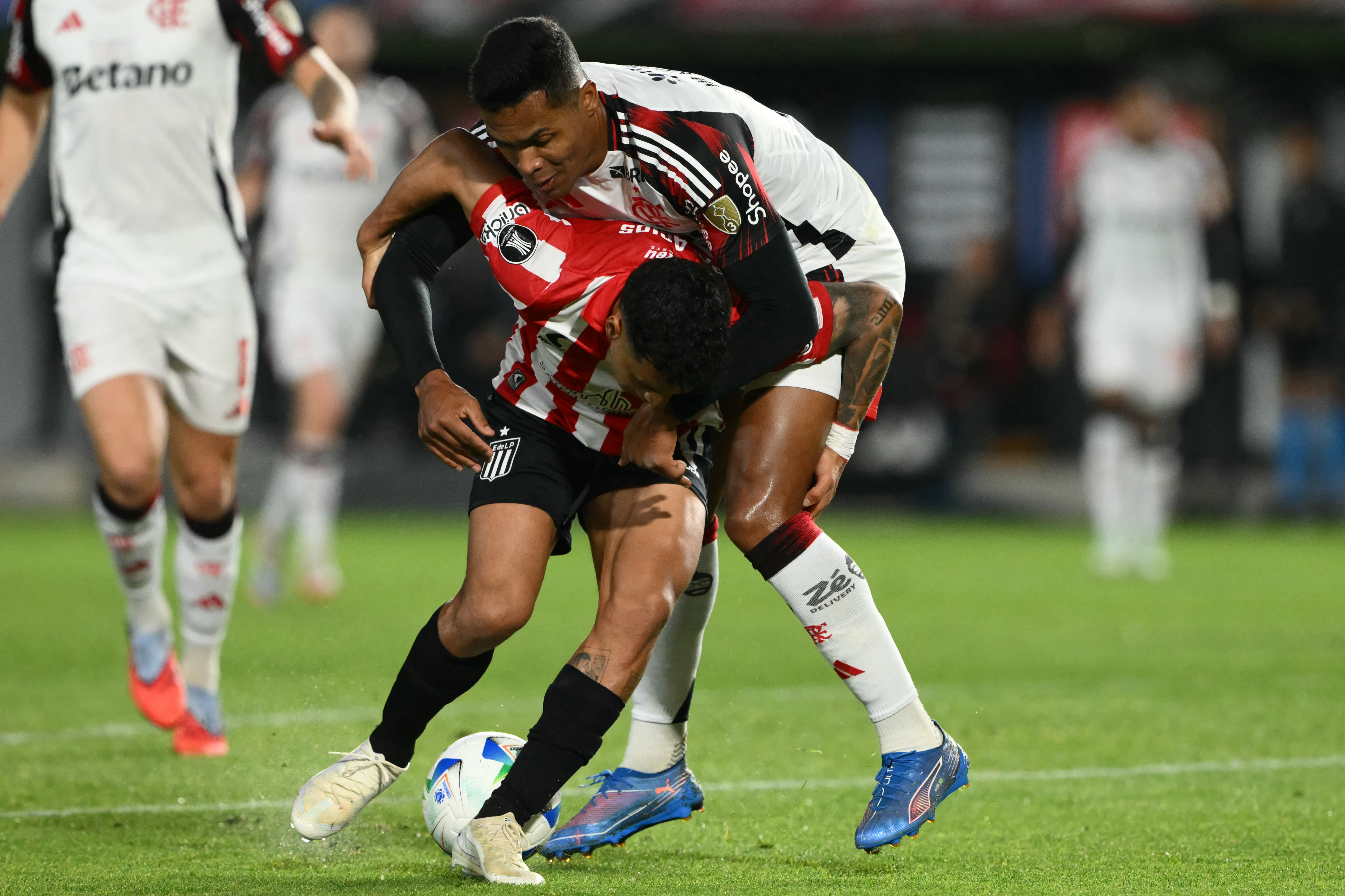 Galeria de imagens da partida Estudiantes x Flamengo na Libertadores