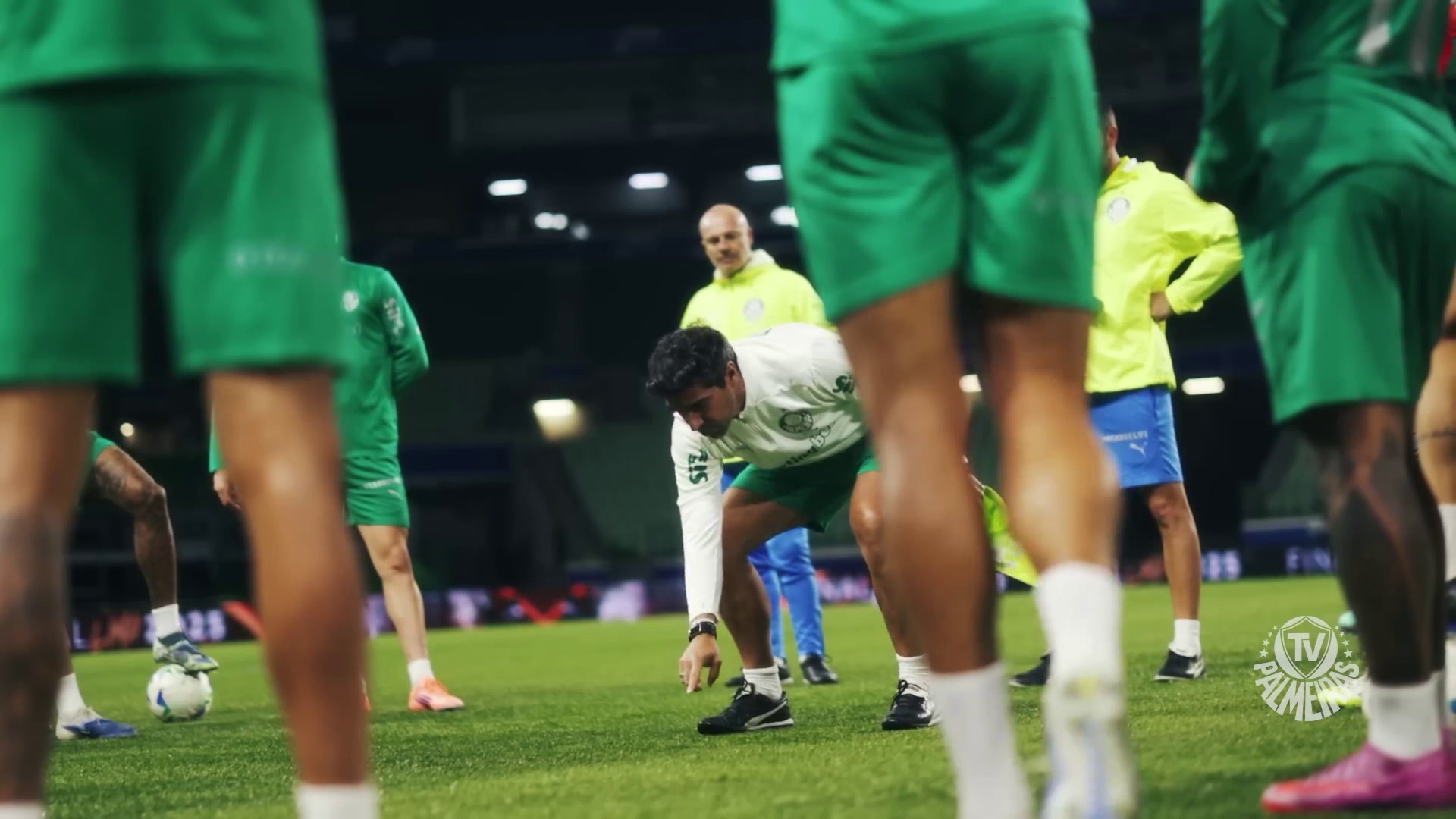 VERDÃO PRONTO? Palmeiras esta pronto para decisão