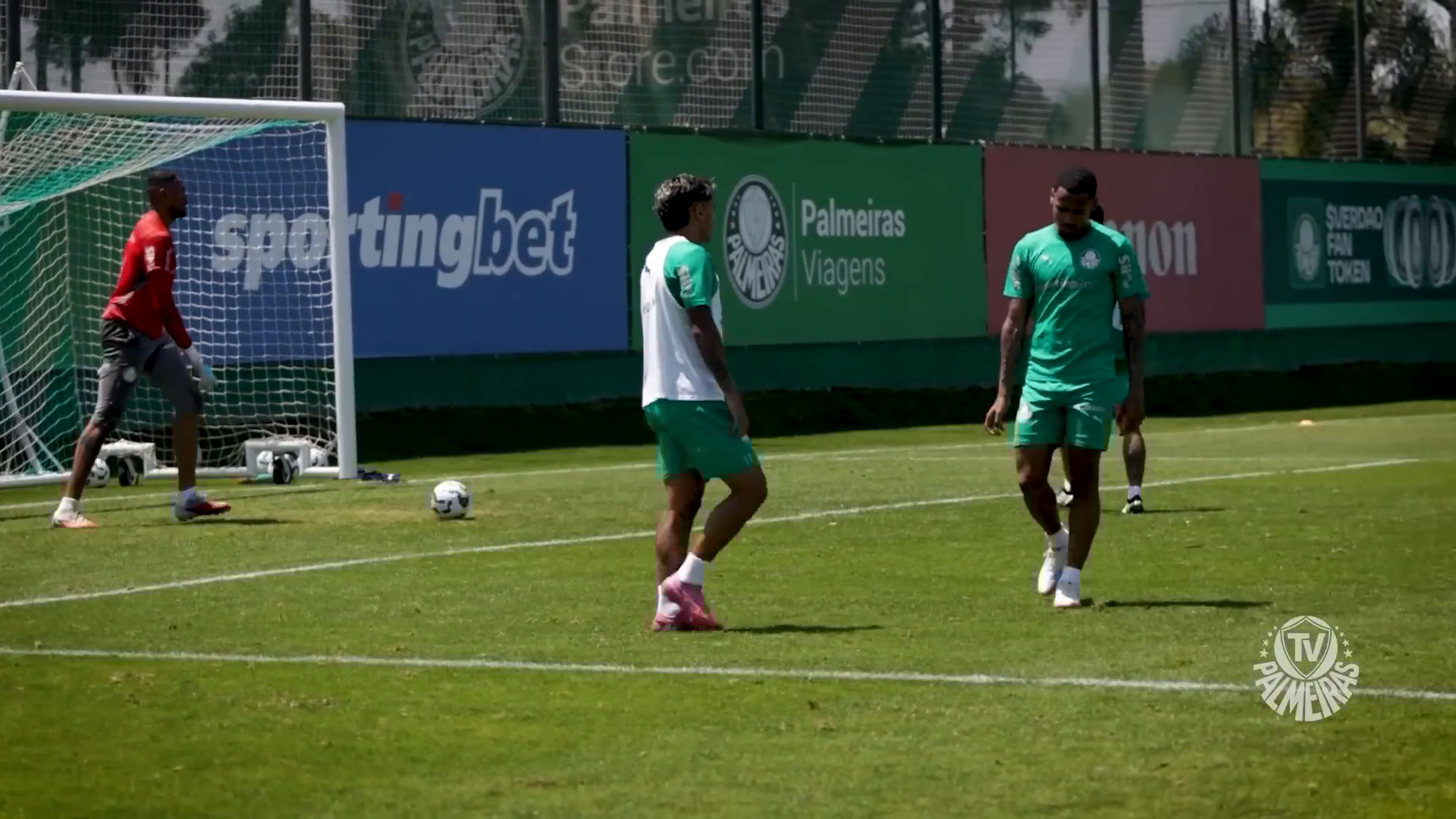 Palmeiras se mobiliza para enfrentar o Vasco na sequência do Brasileirão