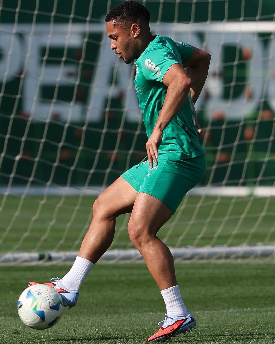 Palmeiras intensifica treinos em antecipação ao confronto contra o River Plate