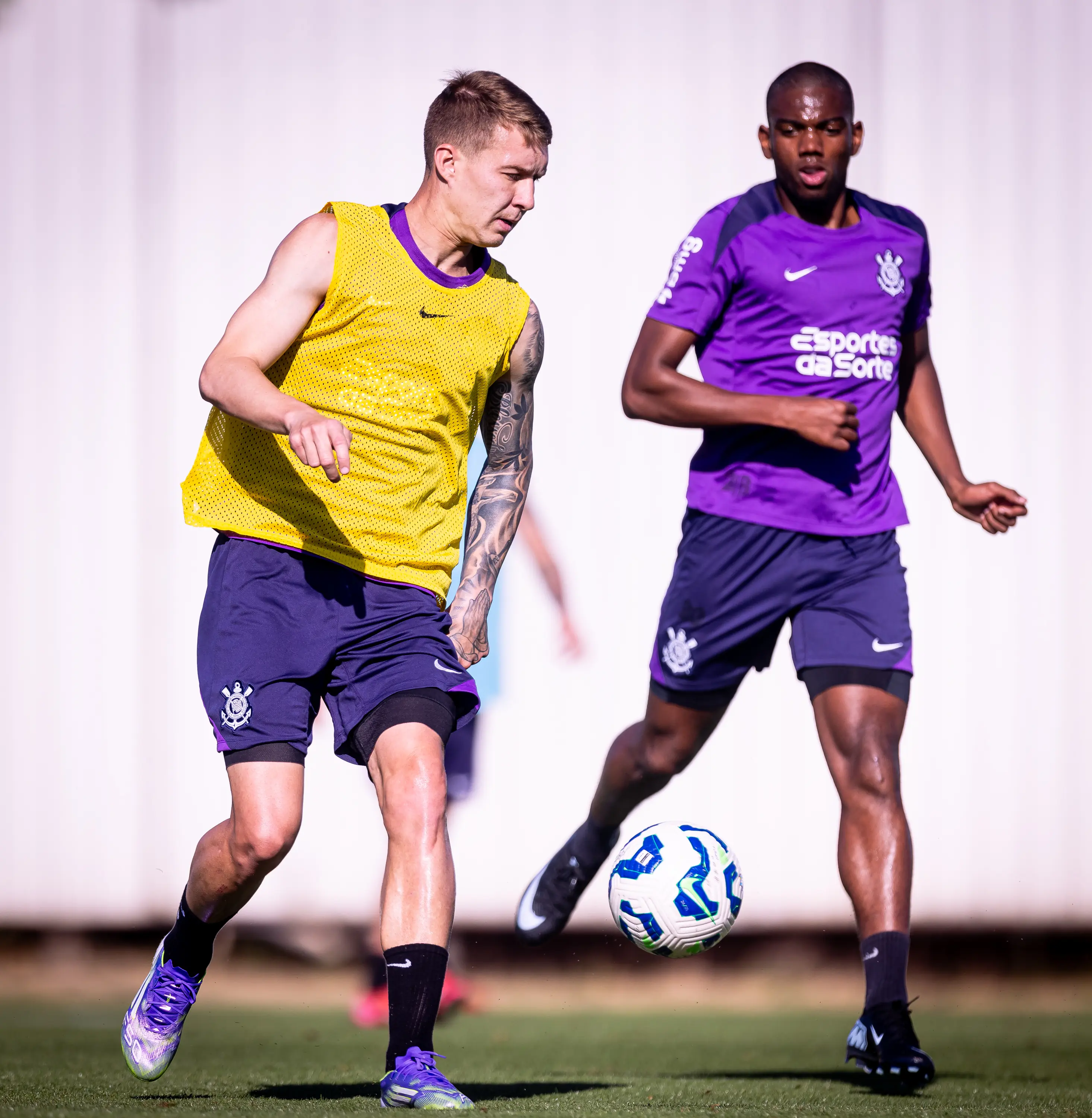 Imagem ilustrativa para a matéria