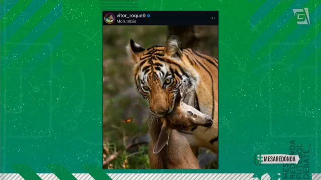Imagem ilustrativa para a matéria