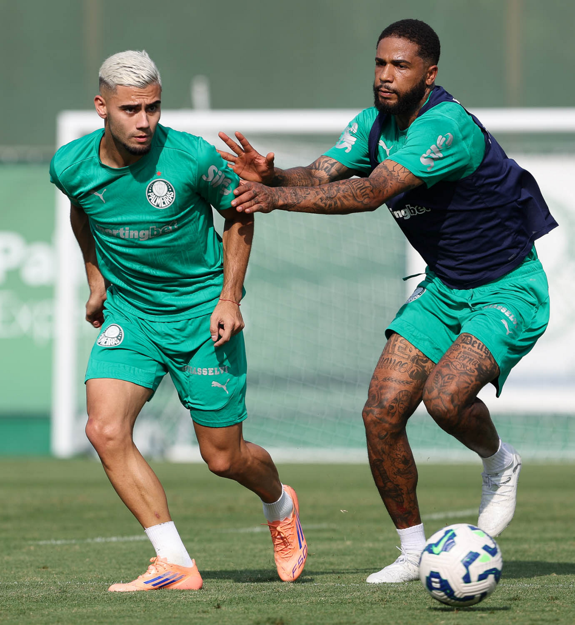 Treino do Palmeiras: confira as imagens da atividade desta sexta-feira