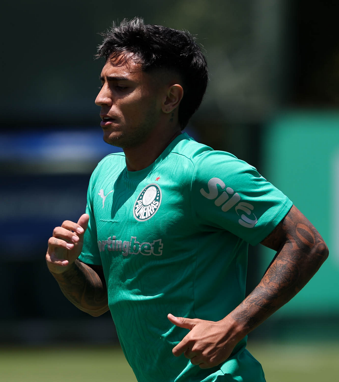 Palmeiras intensifica preparação para o final de semana em treino decisivo; veja as fotos!