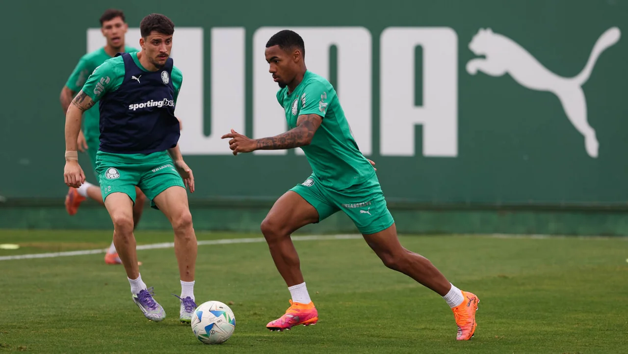 Imagem ilustrativa para a matéria