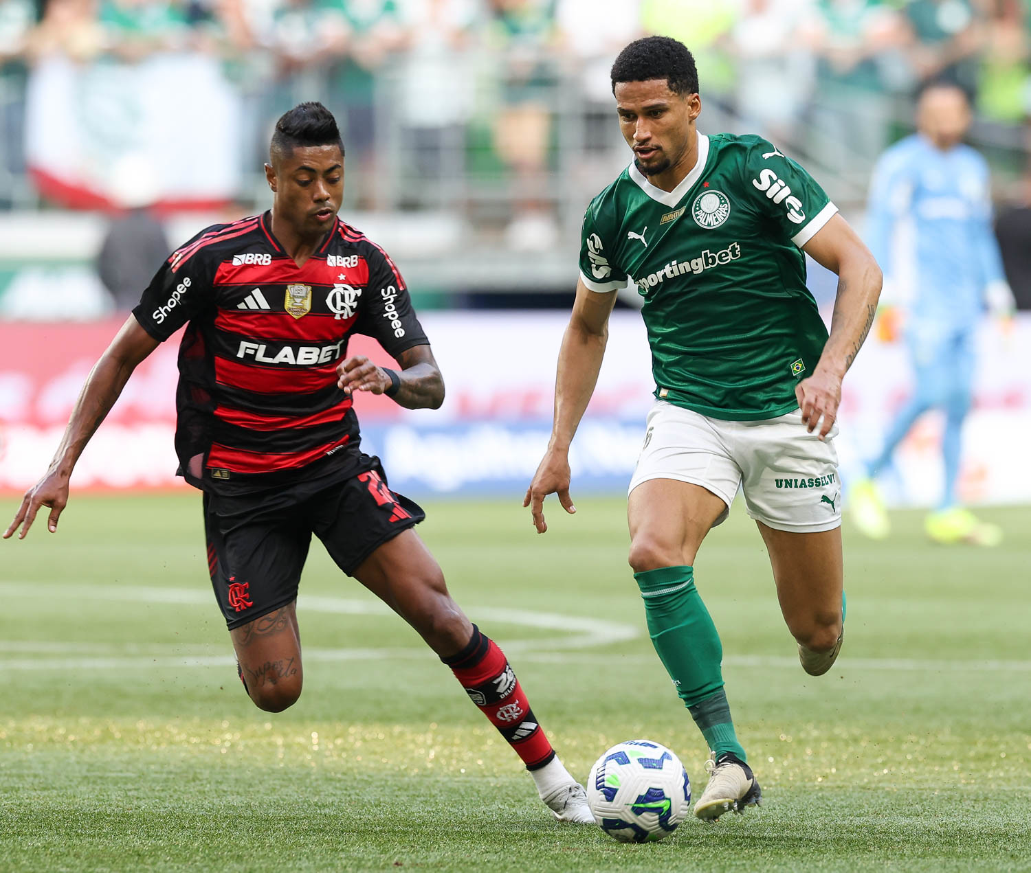 Flamengo e Palmeiras se enfrentam pelo Brasileirão: como assistir, estatísticas e escalações