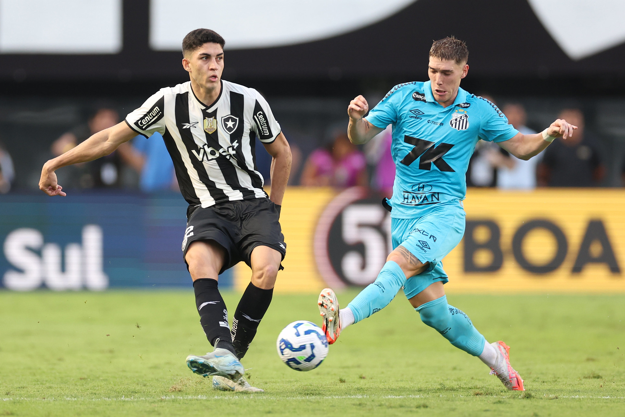 Botafogo x Santos pelo Brasileirão: onde assistir ao vivo, estatísticas ...