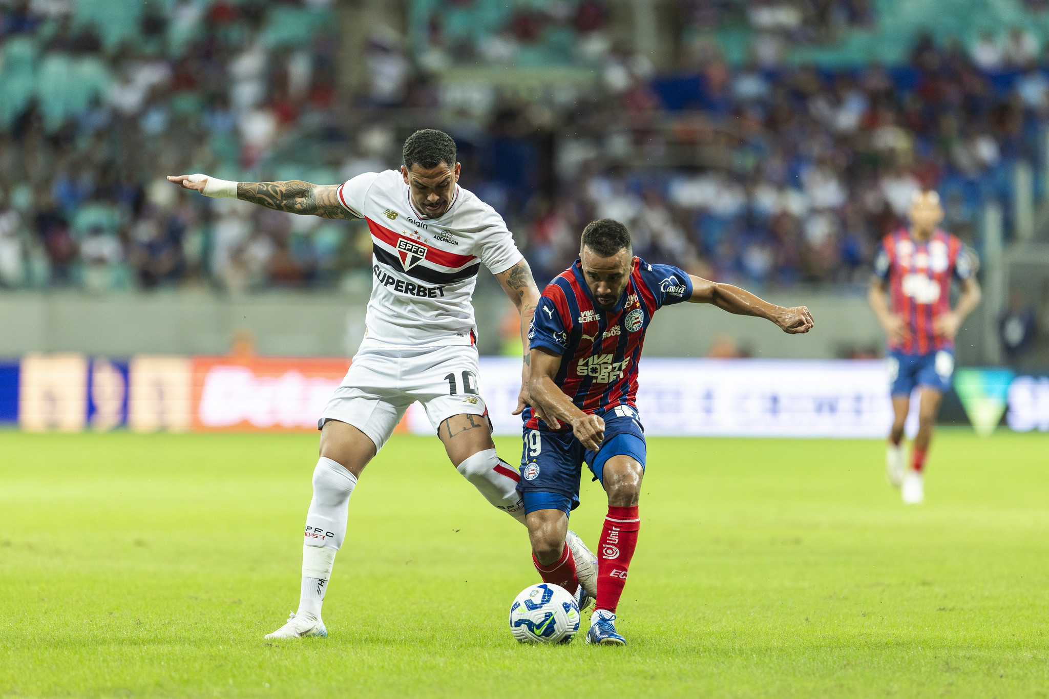 São Paulo x Bahia: veja onde assistir ao duelo pelo Brasileirão
