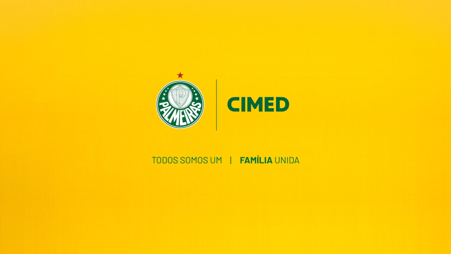 Palmeiras desafia rival Cruzeiro com nova patrocinadora estampada na camisa em jogo decisivo