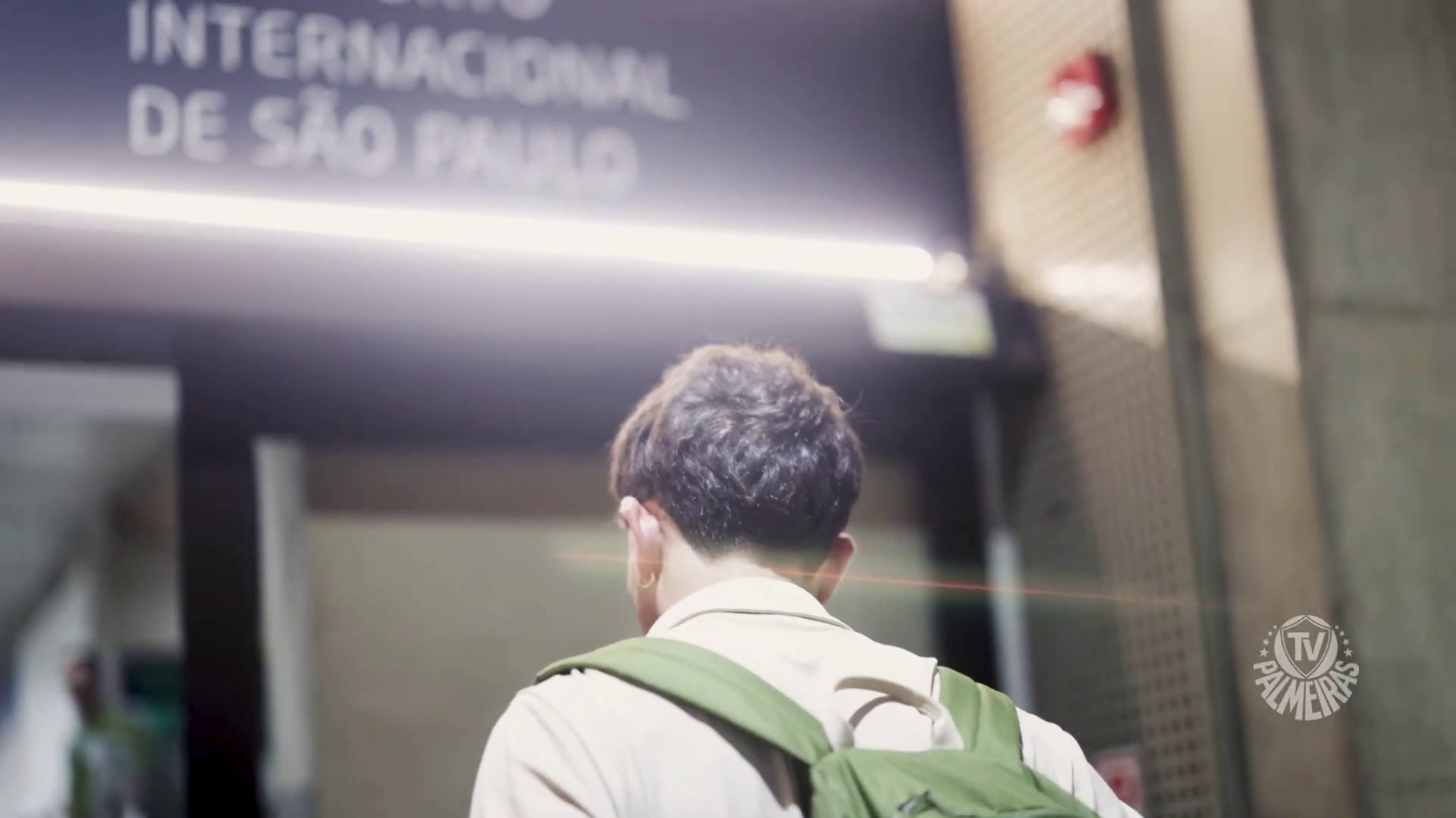 Palmeiras chega ao Rio para enfrentar jogo decisivo importante