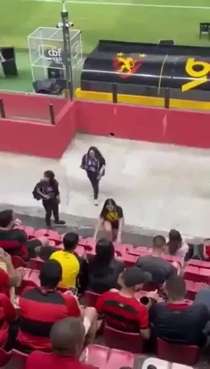 Imagem ilustrativa para a matéria