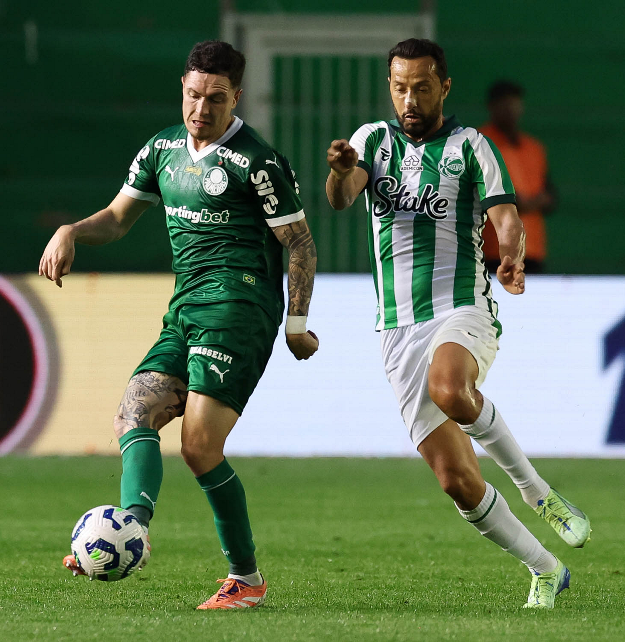 Desfalque importante: Palmeiras não terá titular em clássico contra o Santos