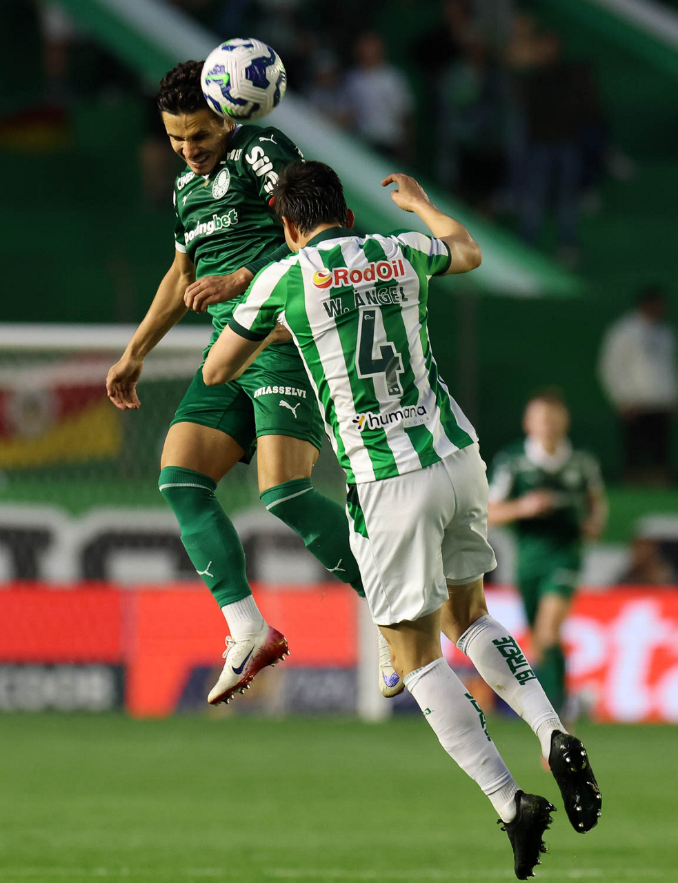 Juventude e Palmeiras se enfrentam em jogo decisivo, com emoções à flor da pele pelo Brasileirão