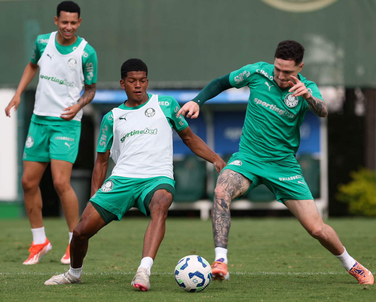 Palmeiras desafia o Santos em clássico decisivo após último treino intenso e cheio de expectativas