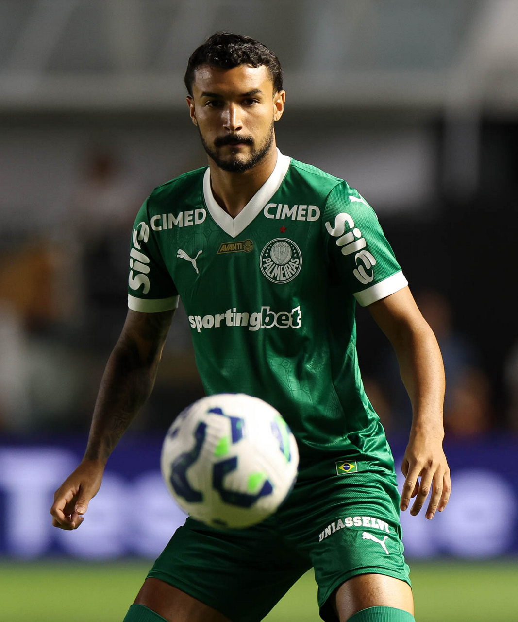 Após derrota para o Santos, chance de título do Palmeiras despenca e reação é exigida