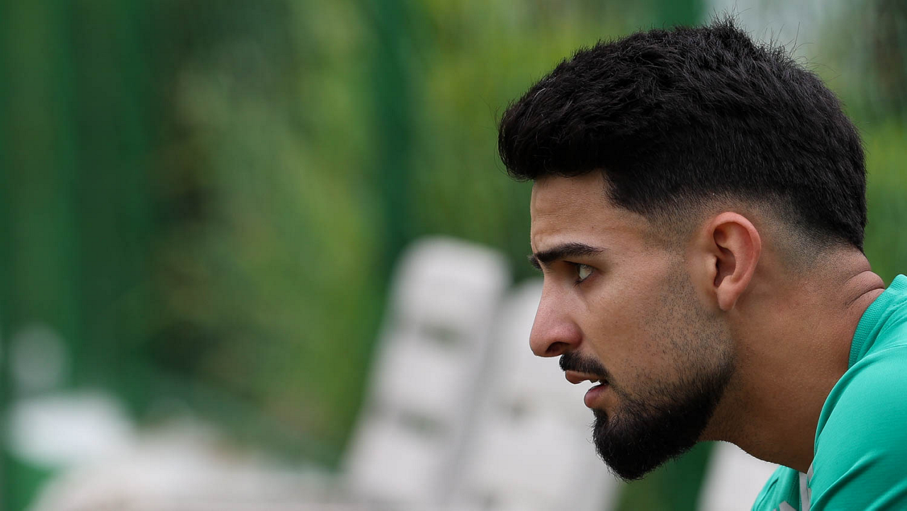 Palmeiras precisa reagir em campo: estratégia para manter título do Brasileirão em aberto é discutida