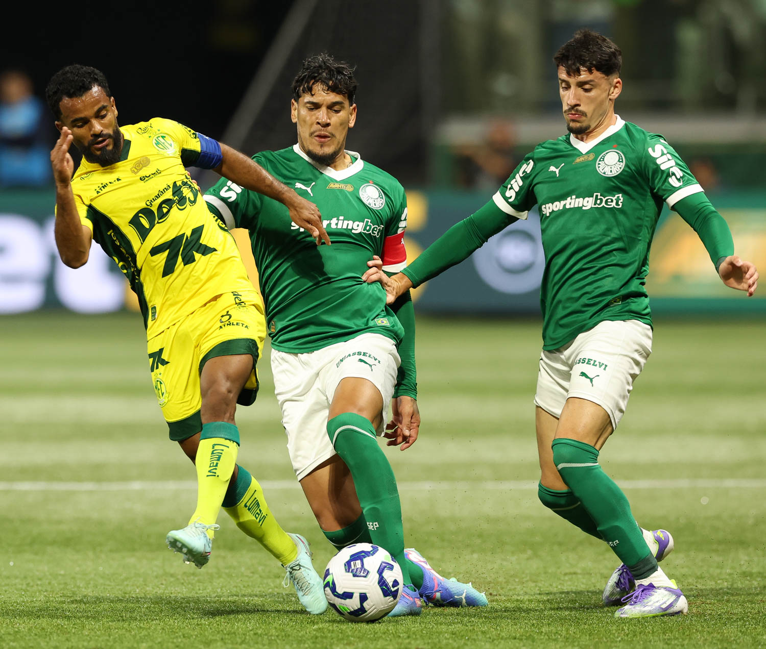 Palmeiras ainda busca a primeira vitória contra o G-4 do Brasileiro e pressiona por resposta imediata