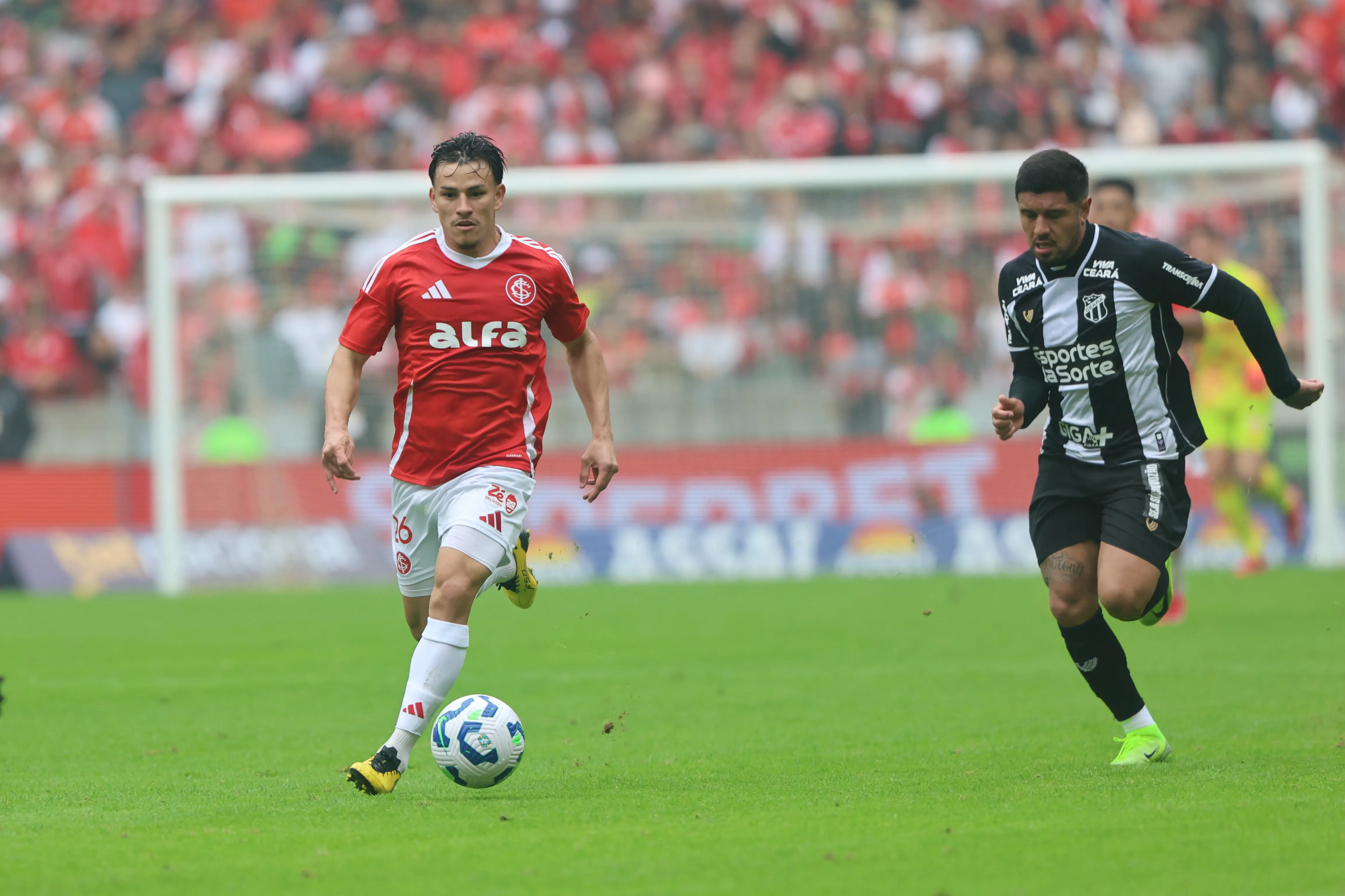 Imagem ilustrativa para a matéria