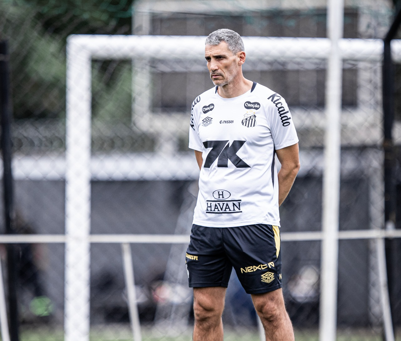 Vojvoda desafia Palmeiras: técnico tem retrospecto equilibrado em confrontos com Abel Ferreira