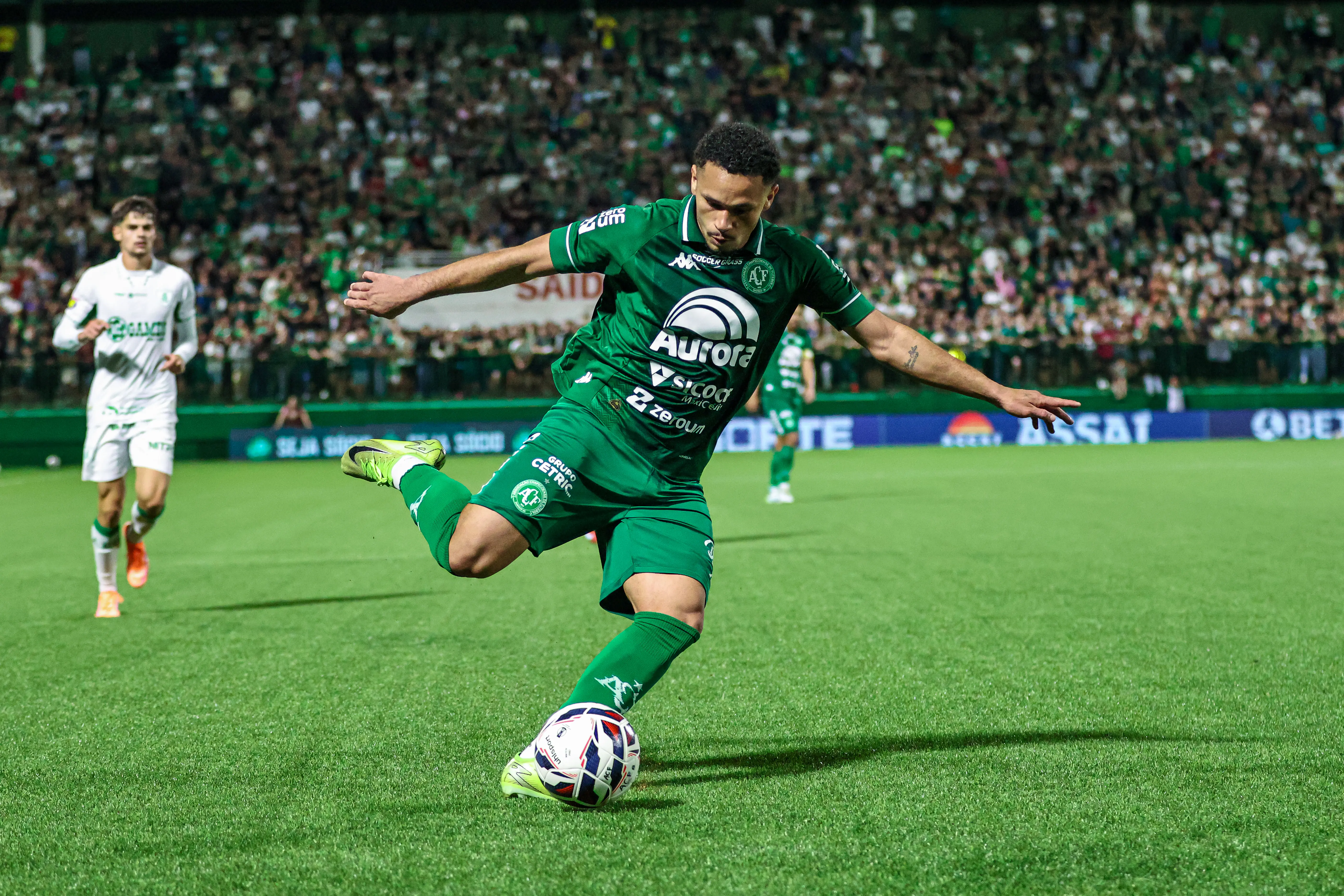 Imagem ilustrativa para a matéria