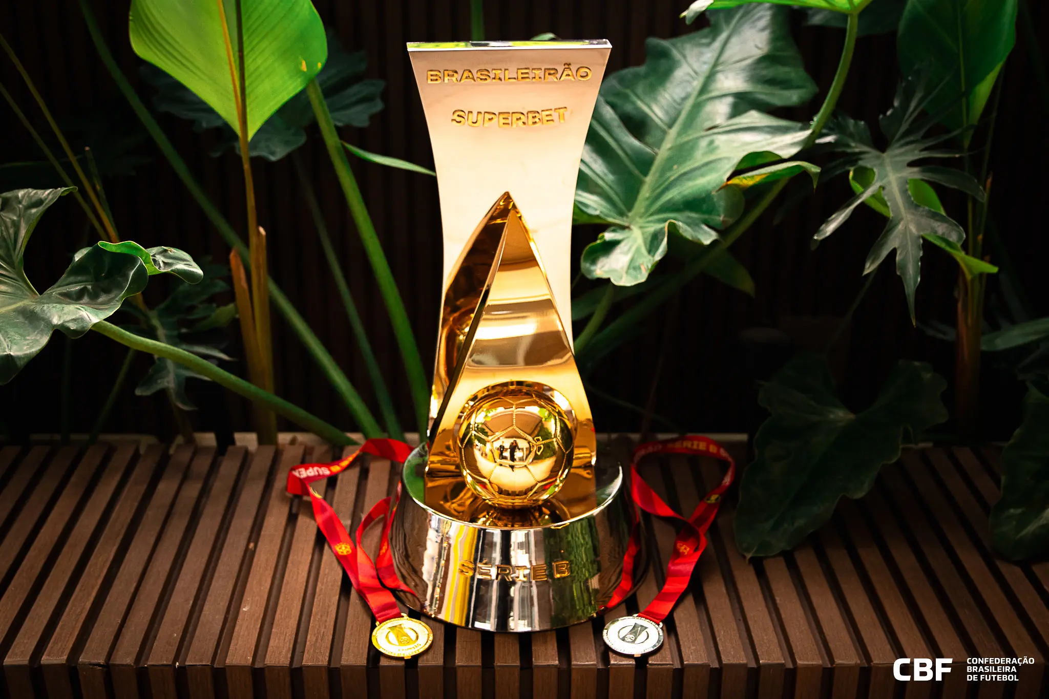 Imagem ilustrativa para a matéria