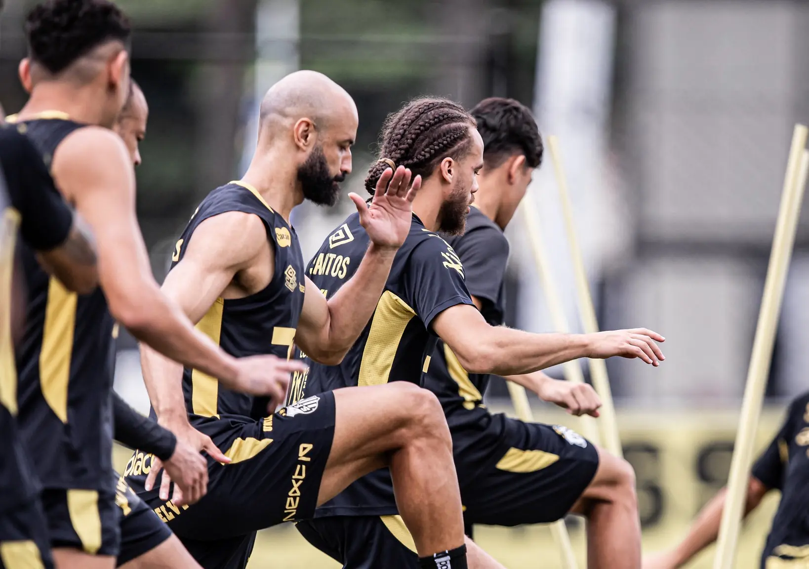 Imagem ilustrativa para a matéria