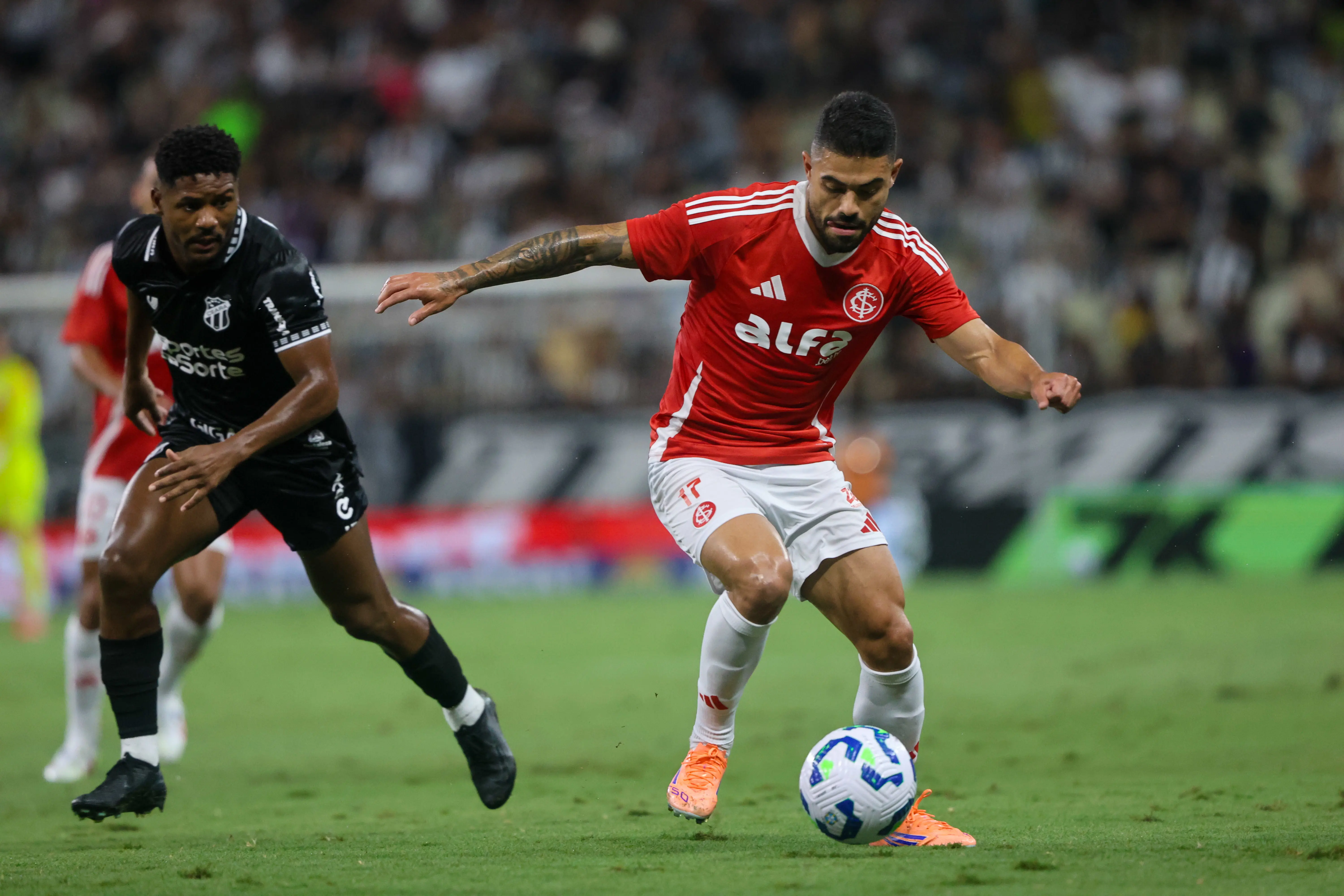 Imagem ilustrativa para a matéria