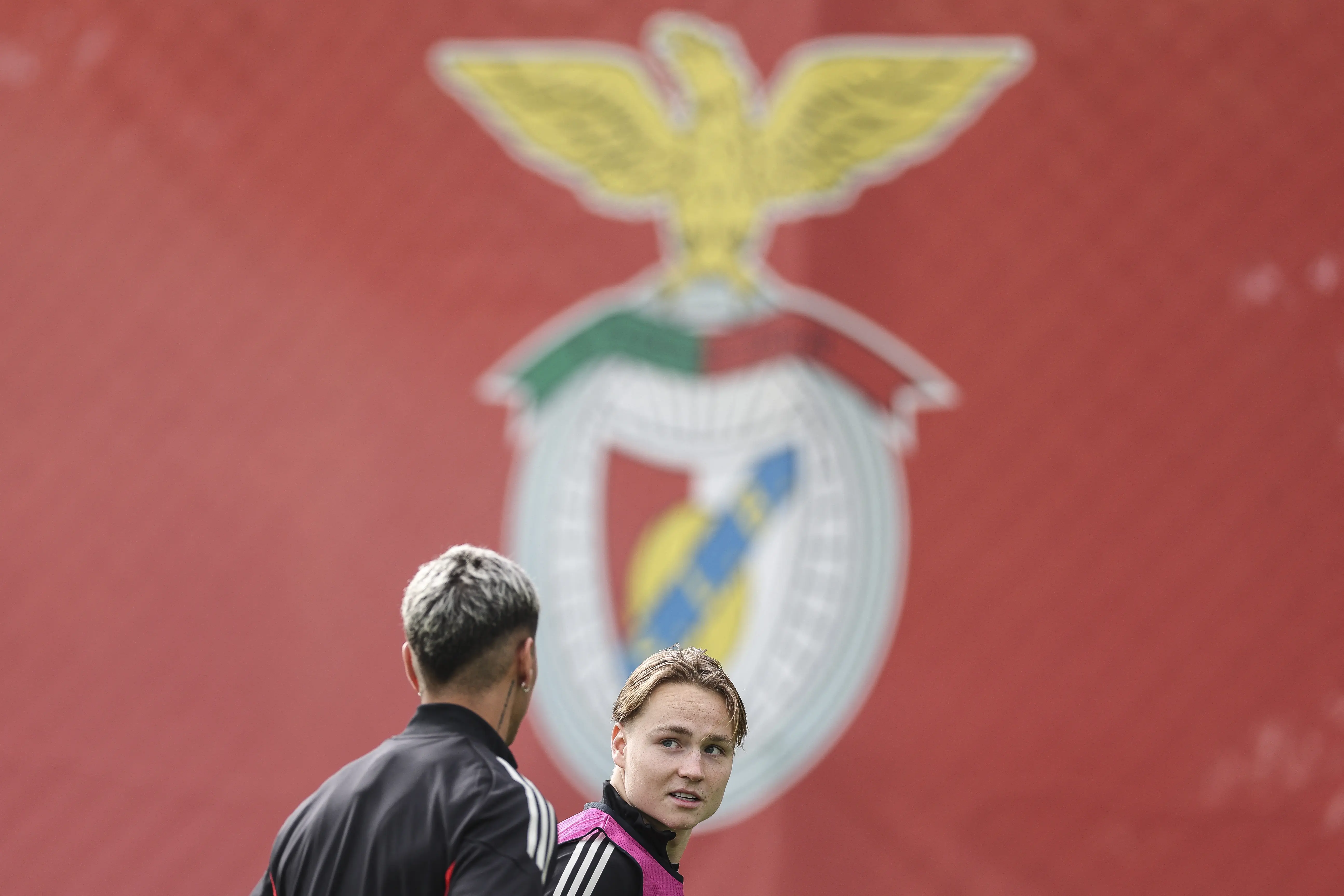 Imagem ilustrativa para a matéria