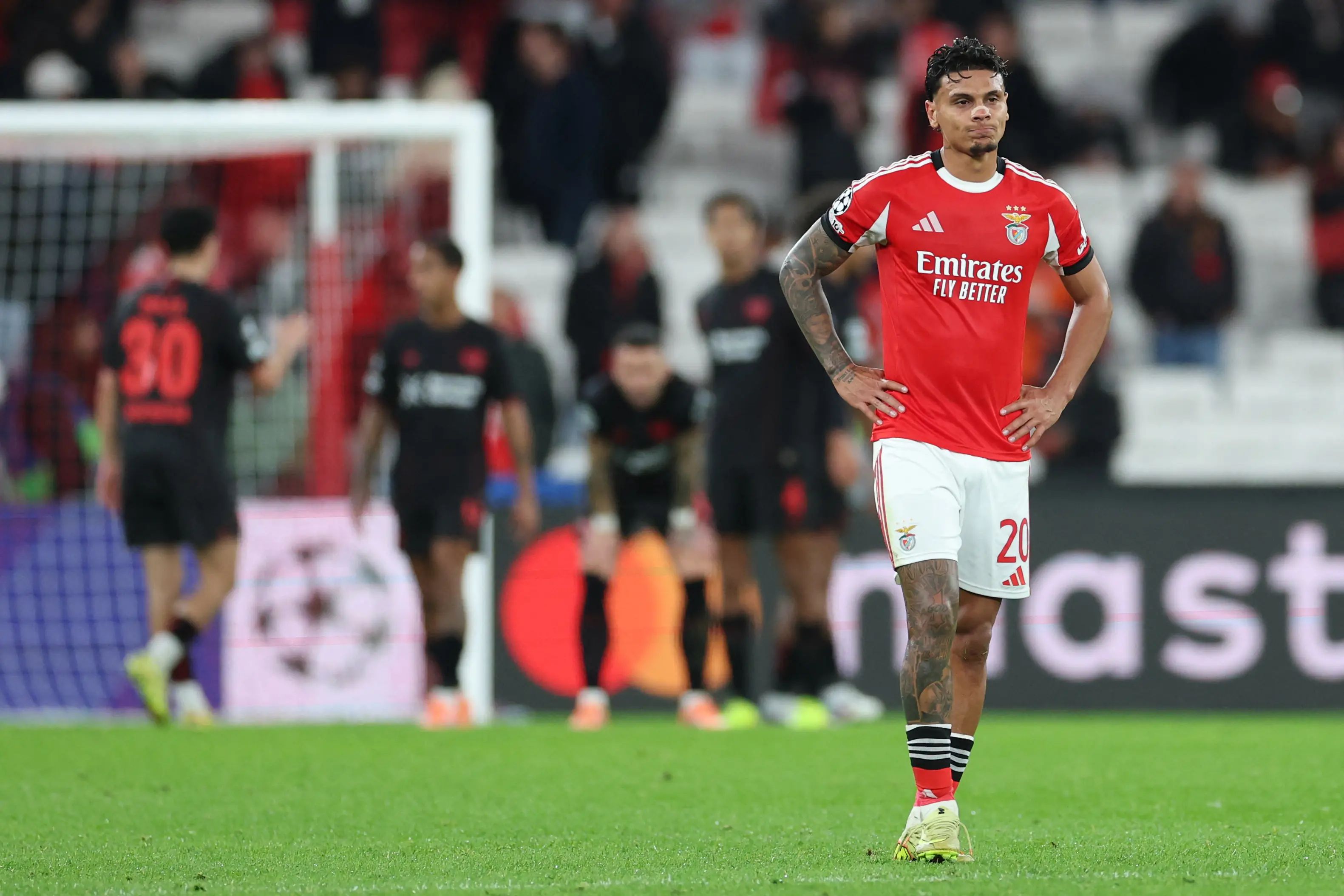 Imagem ilustrativa para a matéria