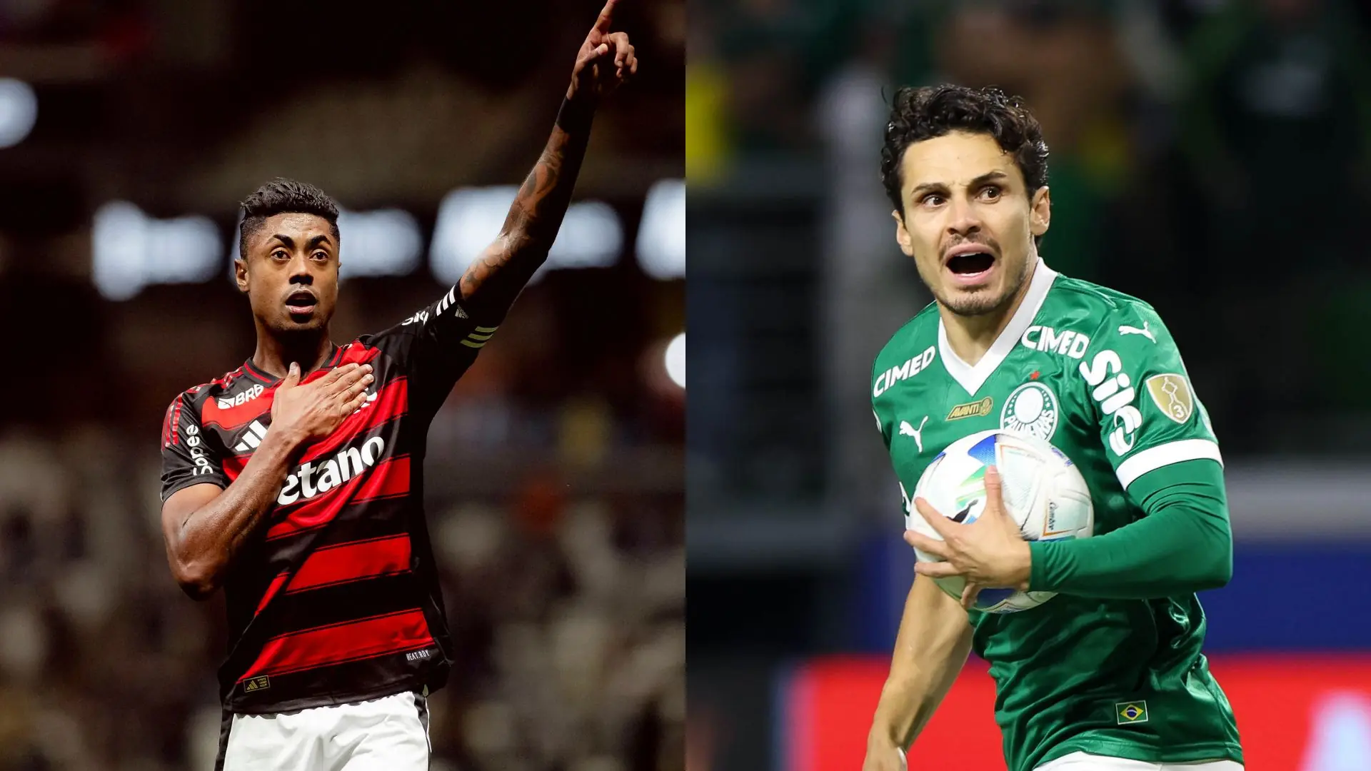 Imagem ilustrativa para a matéria