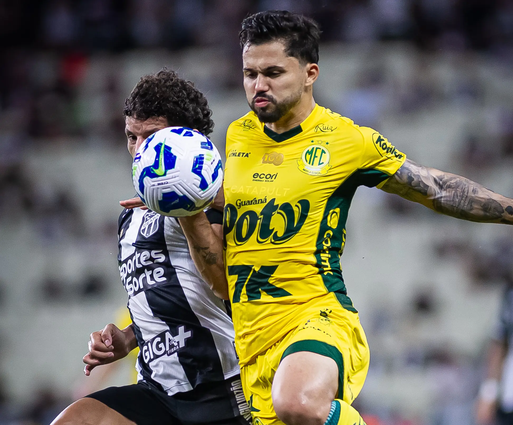 Imagem ilustrativa para a matéria