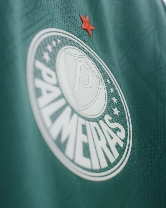 Palmeiras lamenta tragédia: torcedor morre na véspera da decisão da Libertadores e comove a torcida