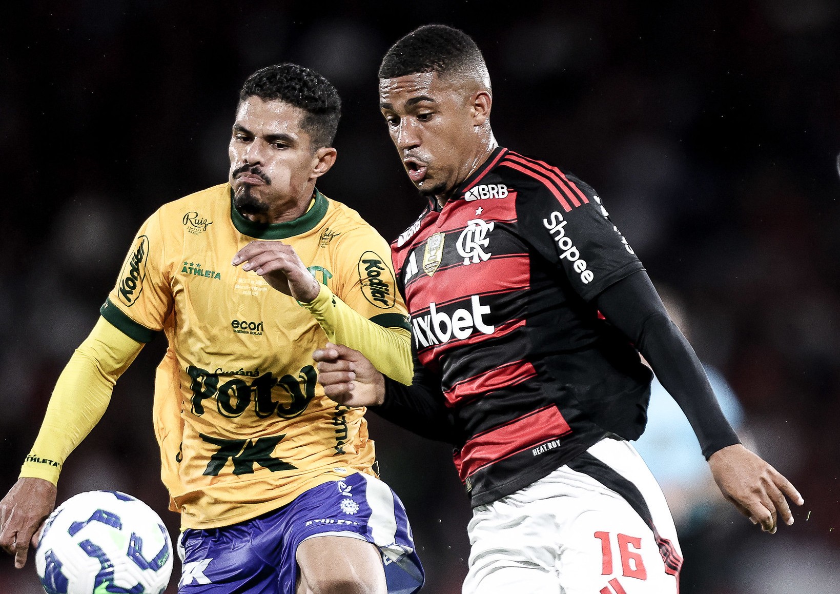 Mirassol desafia Flamengo no Brasileirão; animado, clube paulista busca vitória em casa