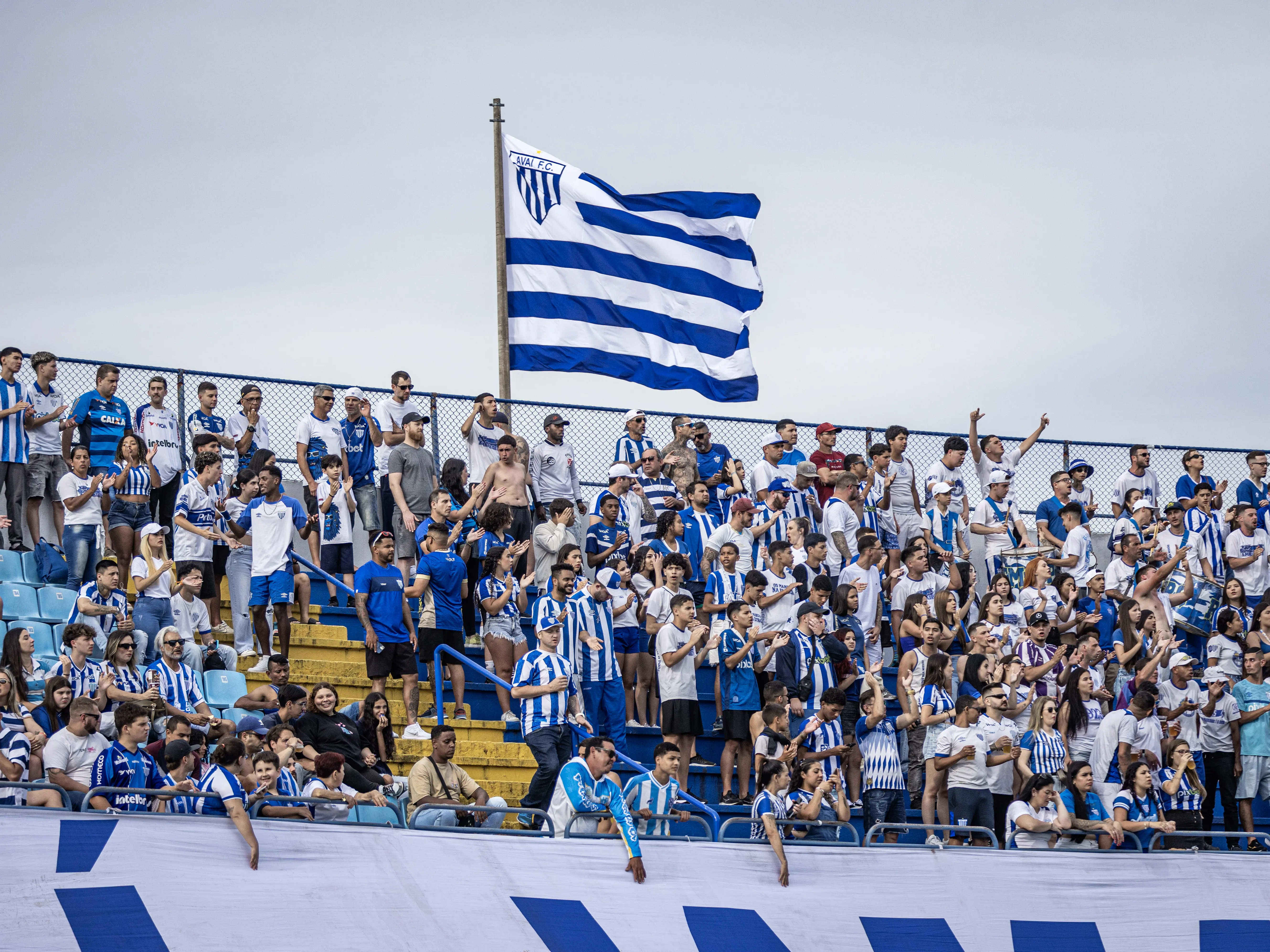 Imagem ilustrativa para a matéria