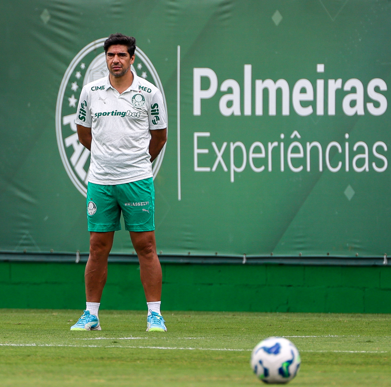 Palmeiras admite baixa chance de ser campeão brasileiro: apenas 2,8% nos cenários atuais