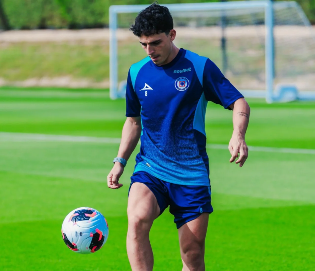 Imagem ilustrativa para a matéria