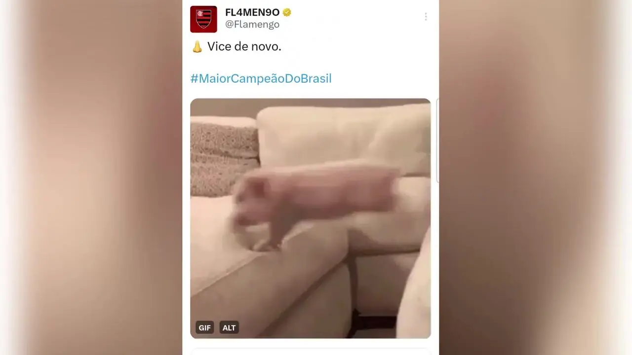 Imagem ilustrativa para a matéria