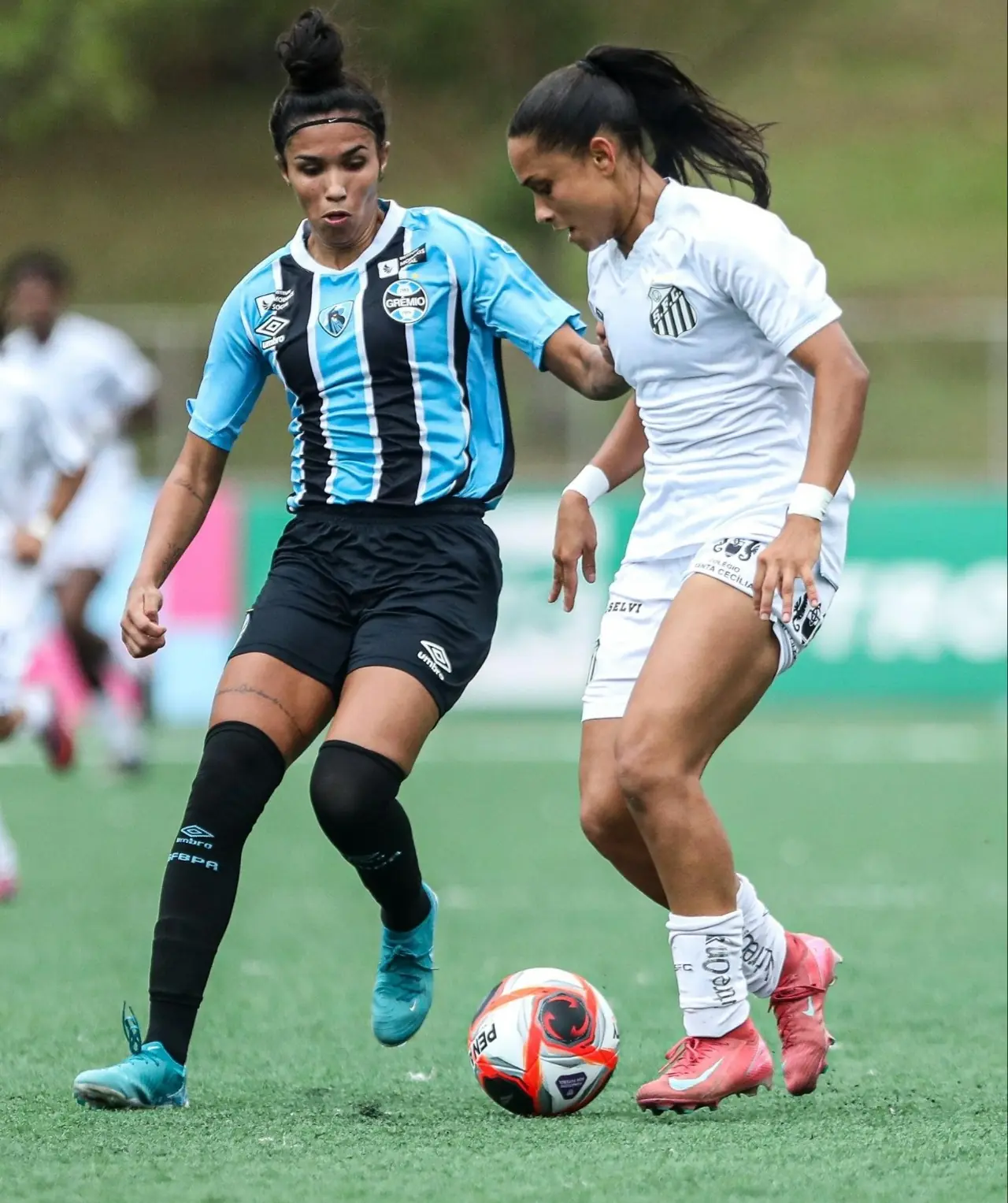 Imagem ilustrativa para a matéria