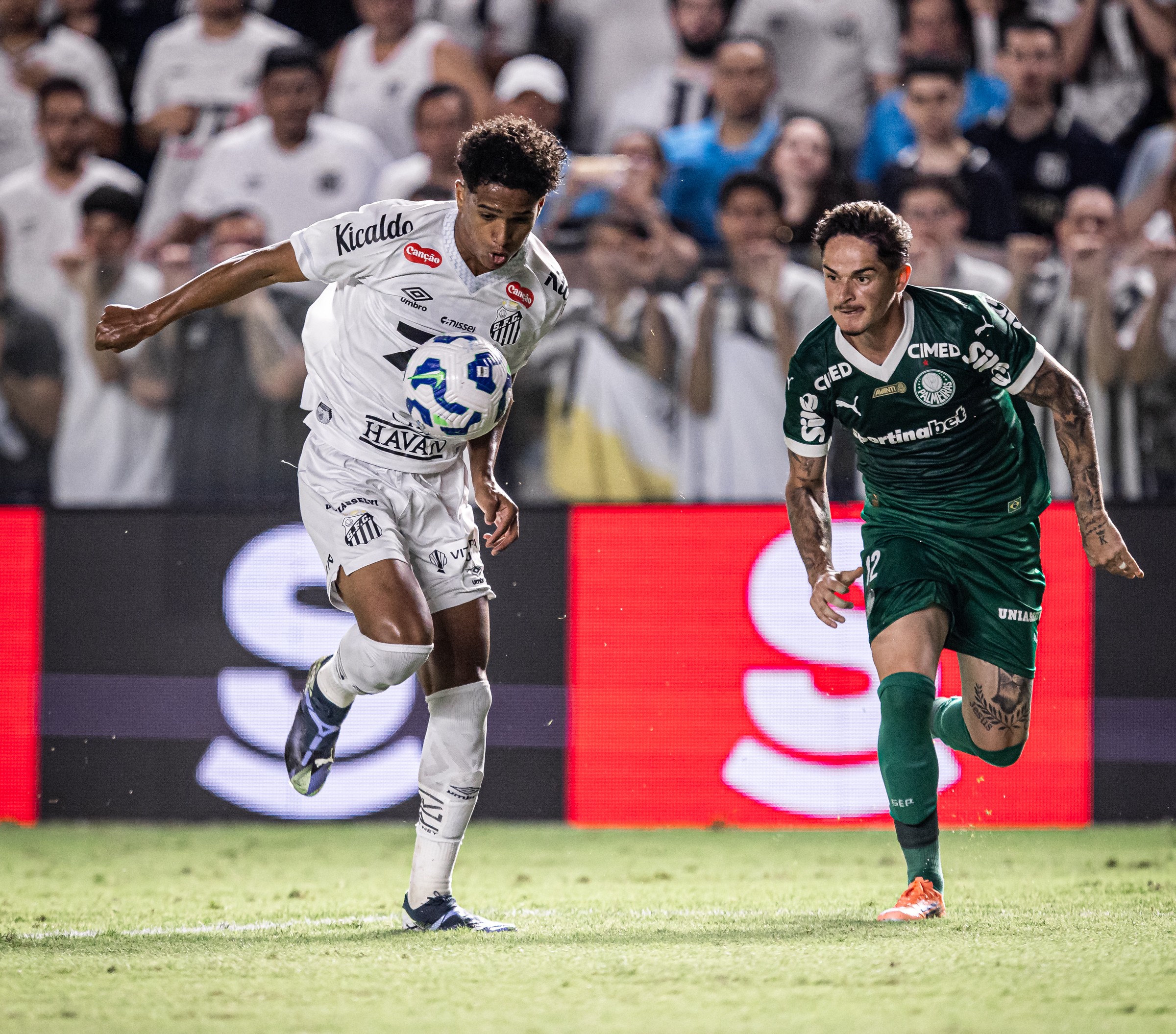 Clássico paulista em xeque: Palmeiras e Santos têm embates equilibrados nos últimos oito confrontos