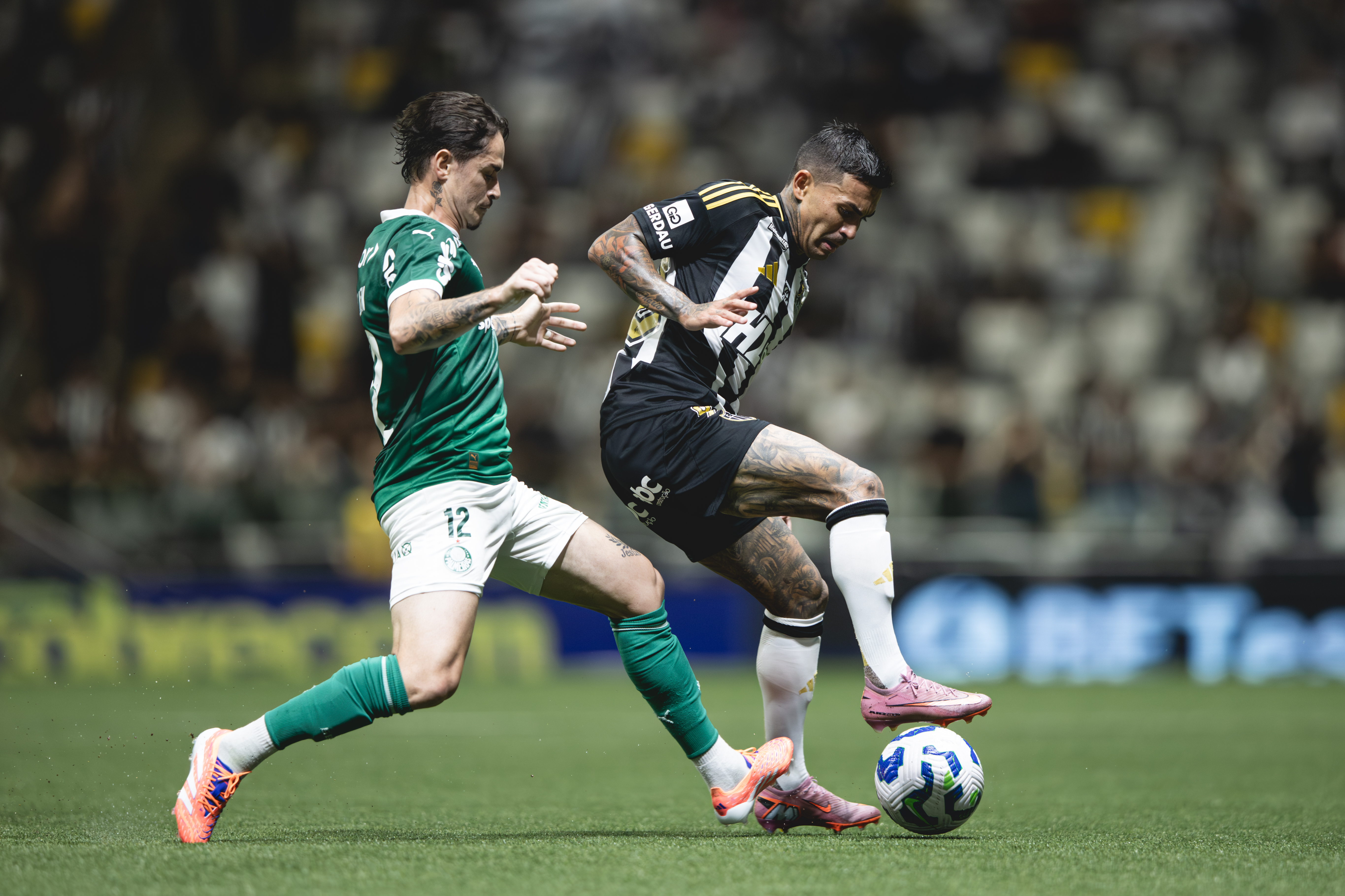 Retrospecto Favorável: Palmeiras Apenas uma Derrota em 15 Confrontos Recentes Contra o Atlético-MG